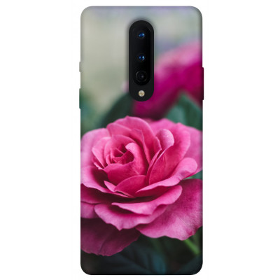 Чехол для OnePlus 8 Epik Print Series Роза в саду